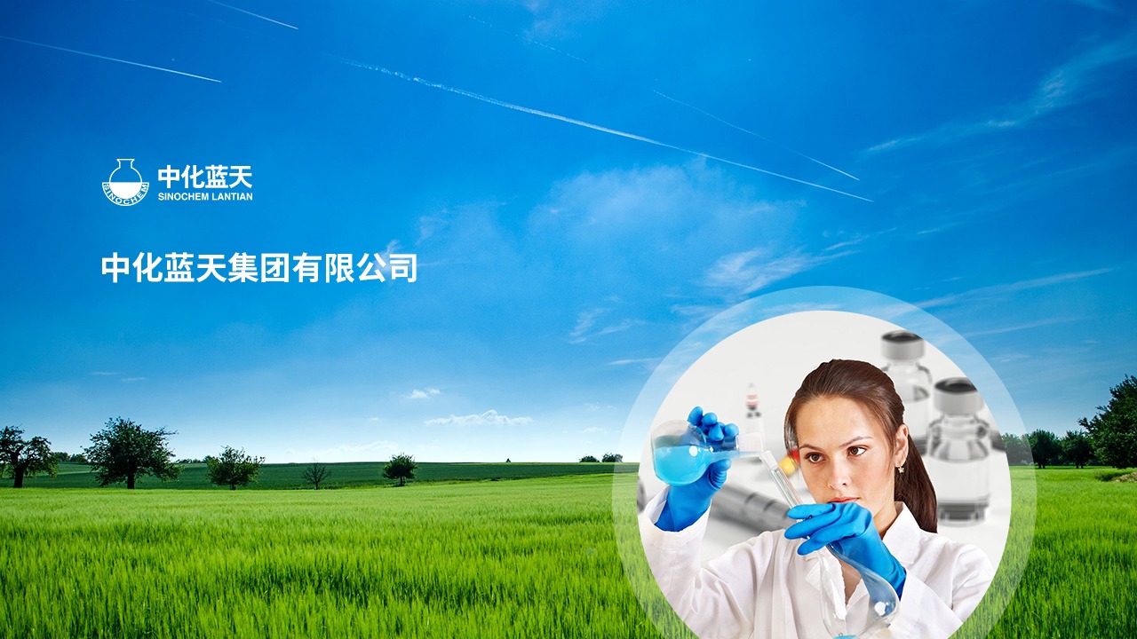 中化藍(lán)天集團(tuán)